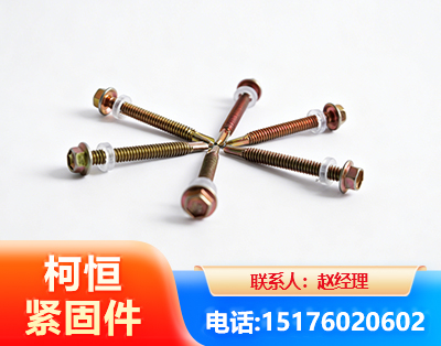 伊犁六角钻尾丝